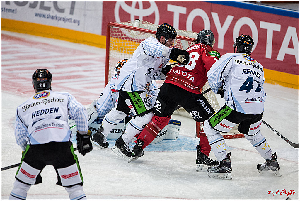Koelner Haie - Straubing Tigers, 03.10.2016